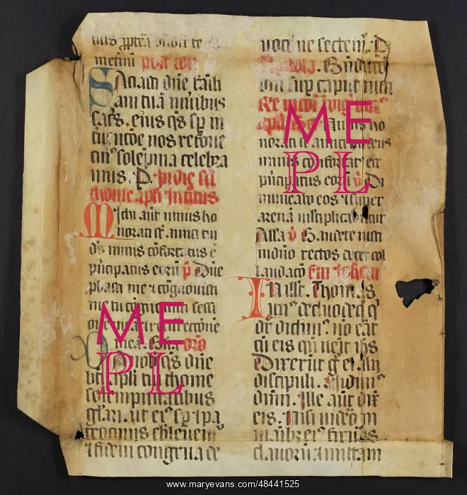 : Missal (Fragment) : Missal (Fragment)