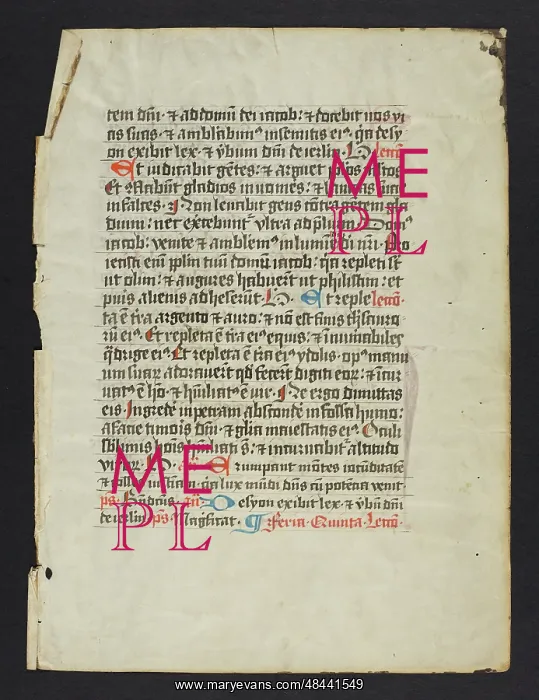 : Missal (Fragment) : Missal (Fragment)