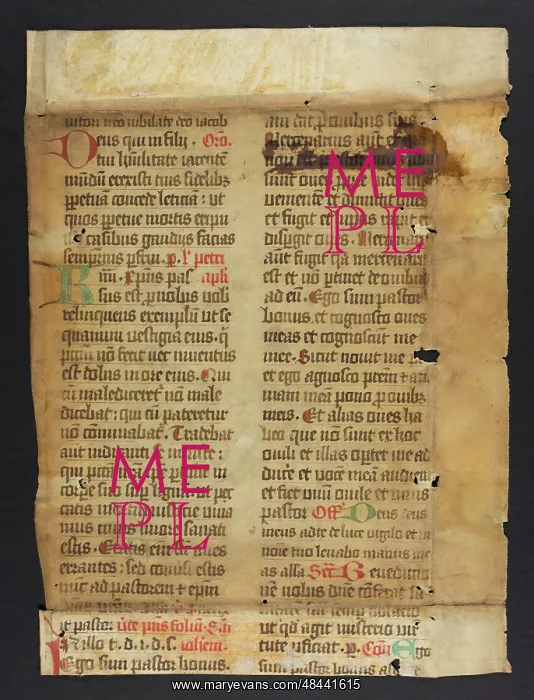 : Missal (Fragment) : Missal (Fragment)