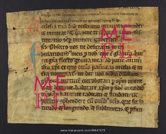 : Missal (Fragment) : Missal (Fragment)
