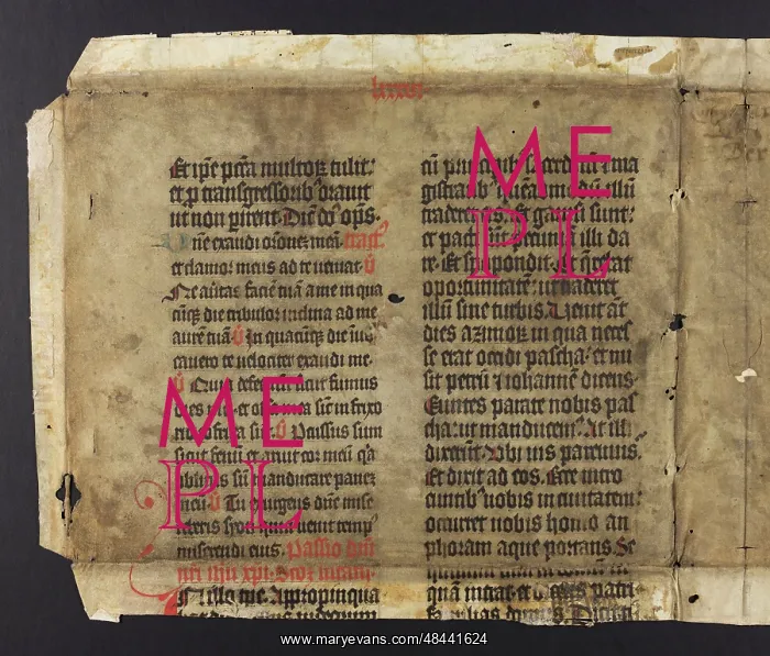 : Missal (Fragment) : Missal (Fragment)