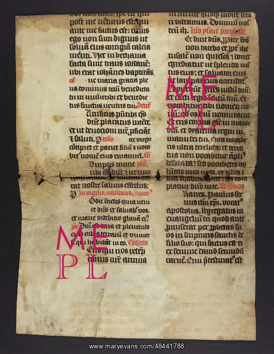 : Missal (Fragment) : Missal (Fragment)