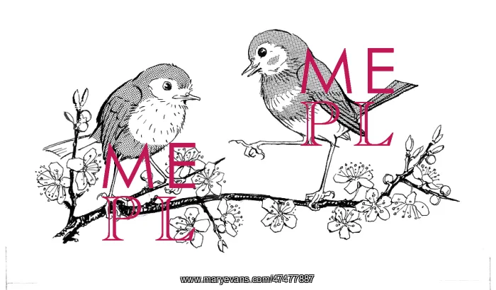 : The Missing Waistcoat - 2 birds on a branch : The Missing Waistcoat - 2 birds on a branch