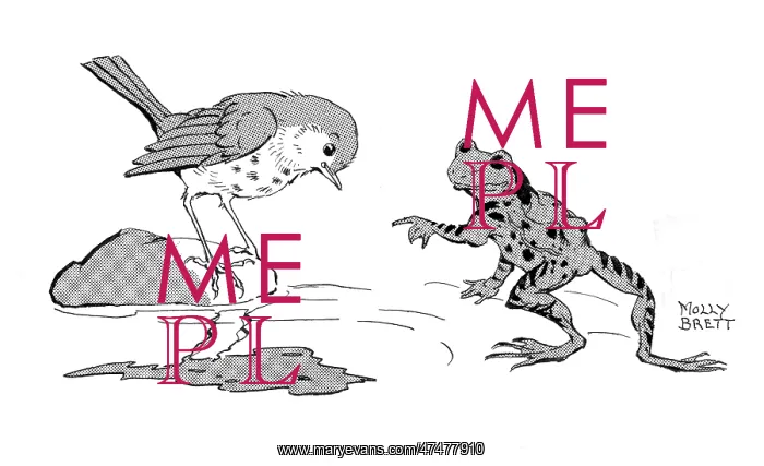 : The Missing Waistcoat -bird and frog : The Missing Waistcoat -bird and frog