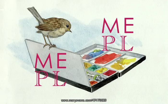 : The Missing Waistcoat - bird on paint box : The Missing Waistcoat - bird on paint box