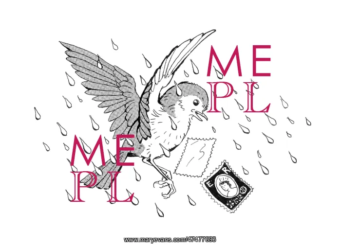 : The Missing Waistcoat - bird in the rain : The Missing Waistcoat - bird in the rain