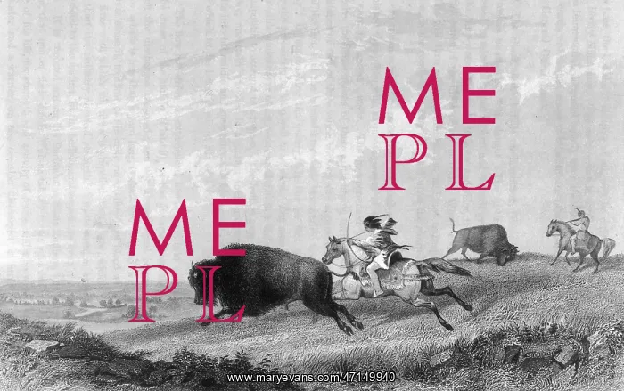 : Missouri Native Americans Hunt Buffalo : Missouri Native Americans Hunt Buffalo