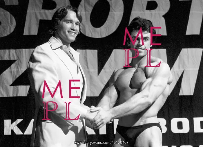 : Mister Austria 1979 : Mister Austria 1979