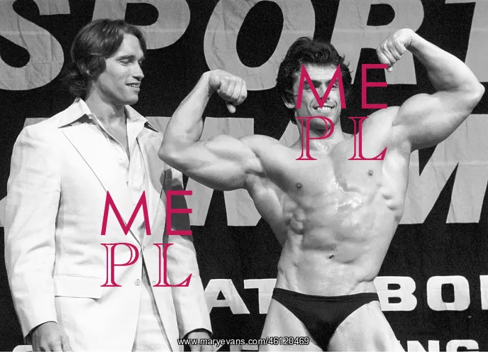 : Mister Austria 1979 : Mister Austria 1979