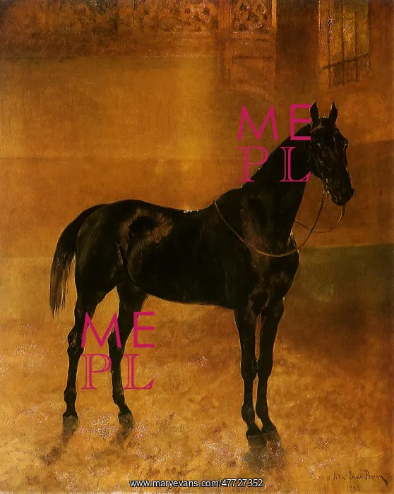  : Mister Dohege Horse