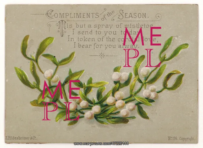 : MISTLETOE / CARD / COMPLIMEN