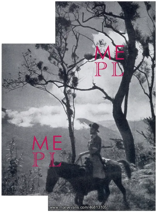 : In the Misty Highlands of Chiapas Province : In the Misty Highlands of Chiapas Province