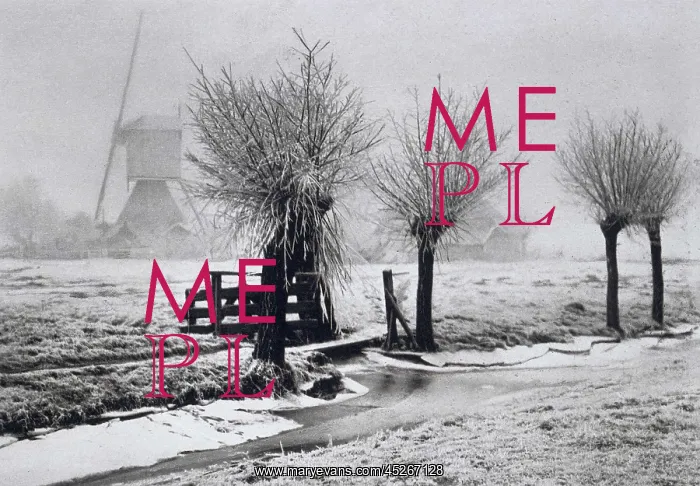 : Misty winter day : Misty winter day