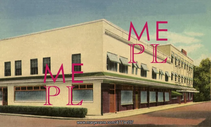 : Mitchell Clinic. Excelsior Springs : Mitchell Clinic. Excelsior Springs