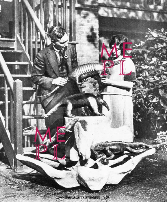 : Mitchell Hedges and Lady Richmond Brown, 1924 : Mitchell Hedges and Lady Richmond Brown, 1924