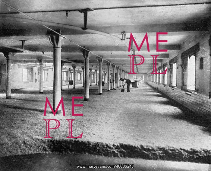 : Mitchells and Butlers Brewery Malting Floor : Mitchells and Butlers Brewery Malting Floor