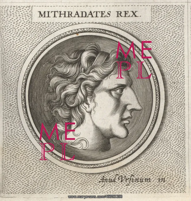  : Mithradates VI Eupator, King of Pontus, 135-63 BC