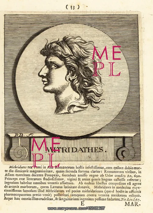 : Mithradates VI Eupator of Pontus : Mithradates VI Eupator of Pontus