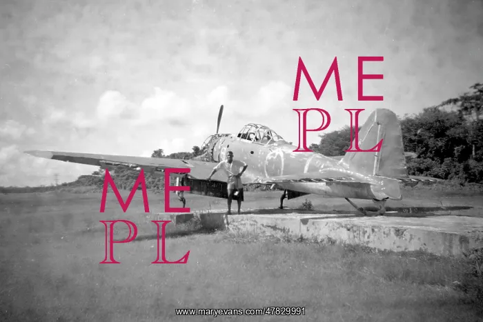 : Mitsubishi A6M2 Model 21 313 : Mitsubishi A6M2 Model 21 313