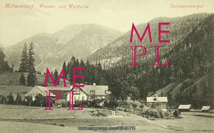 : Mitterndorf. Wiesen- and Waldvilla. 1906. Colltype : Mitterndorf. Wiesen- and Waldvilla. 1906. Colltype
