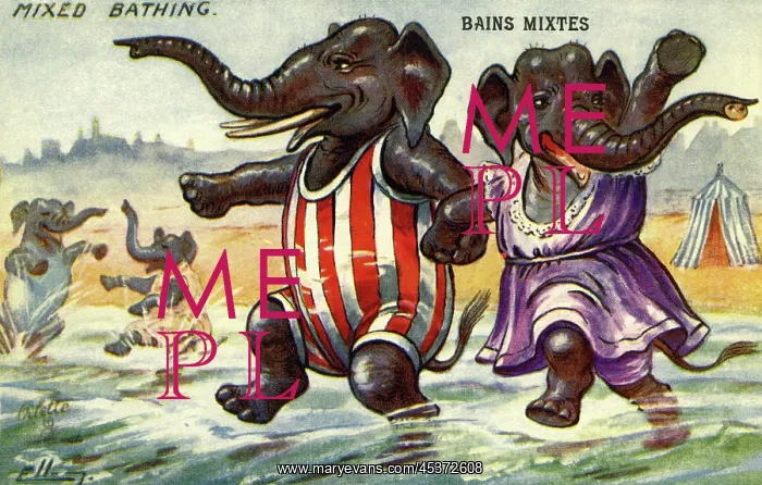 : Mixed bathing : Mixed bathing