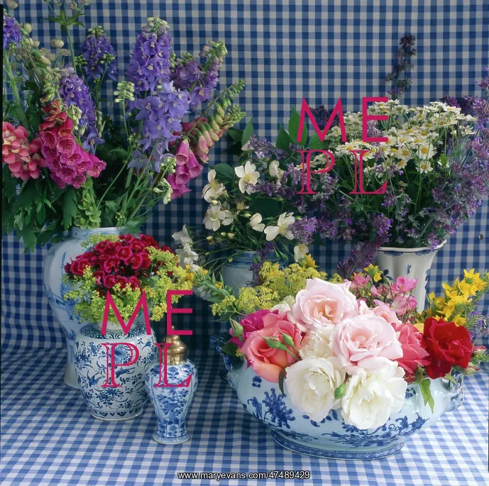 : Mixed flowers with gingham : Mixed flowers with gingham