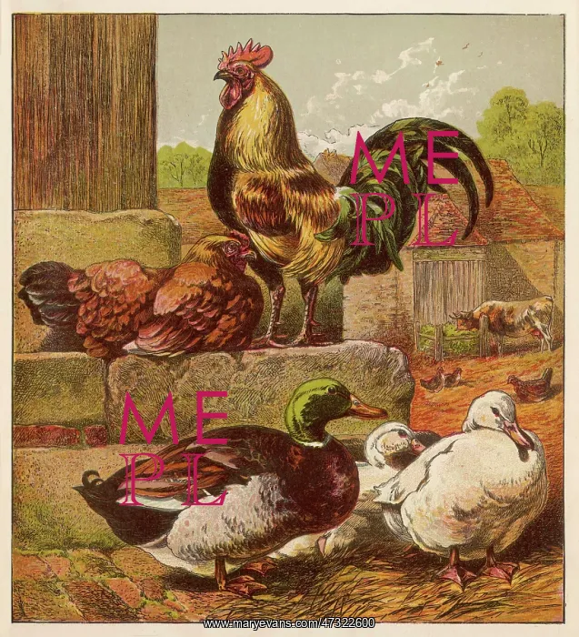  : MIXED POULTRY