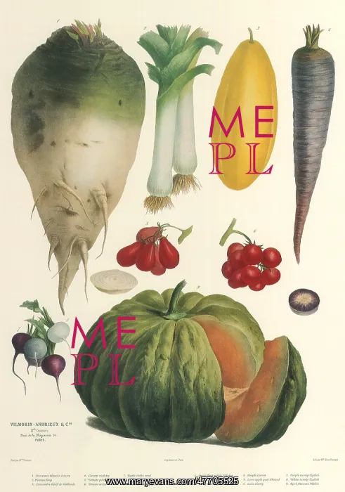  : Mixed Produce Botanical