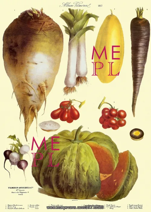  : Mixed Produce Botanical