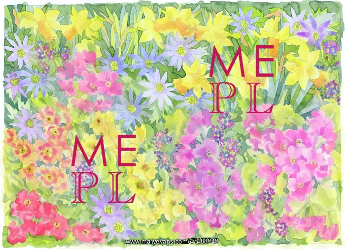 : Mixed Spring flowers : Mixed Spring flowers