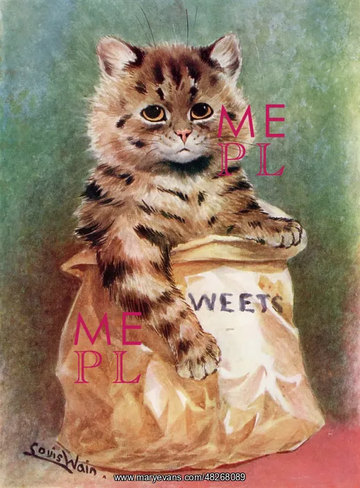 : Mixed Sweets, comical cat in a bag of sweets : Mixed Sweets, comical cat in a bag of sweets