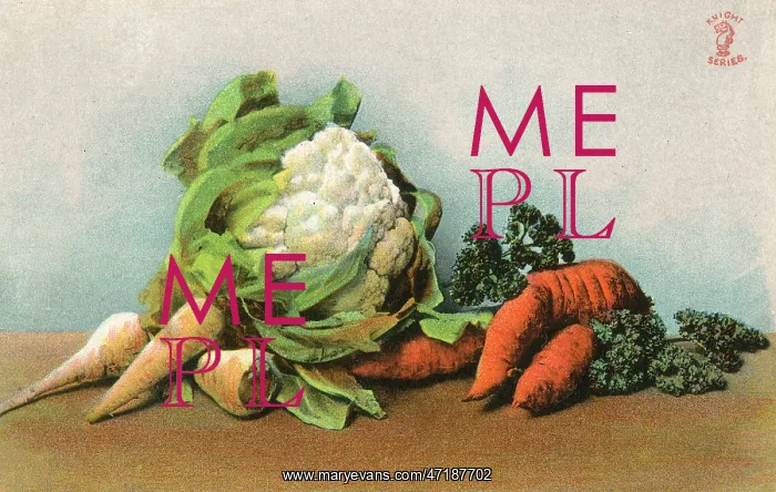 : MIXED VEGETABLES 20C : MIXED VEGETABLES 20C
