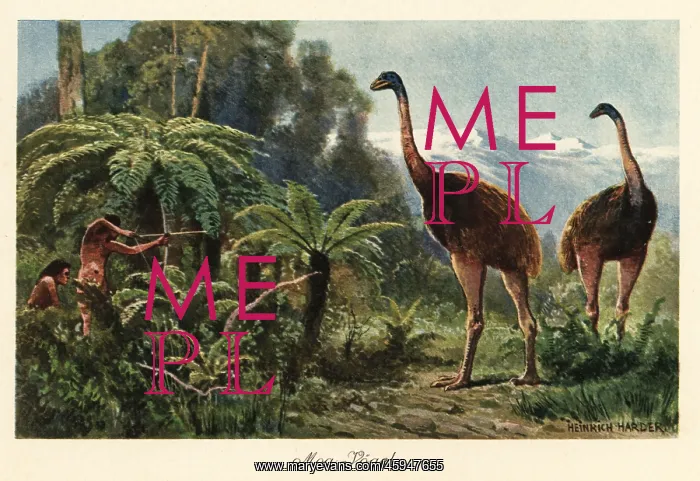 : Moa birds being hunted by men with bows and arrows : Moa birds being hunted by men with bows and arrows