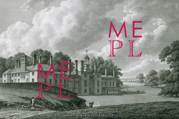 : The Moat, Kent : The Moat, Kent