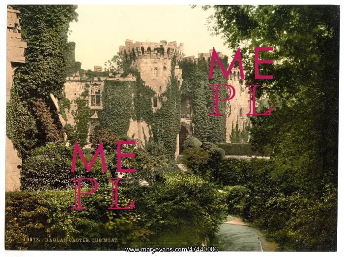: The moat, Raglan Castle, England : The moat, Raglan Castle, England