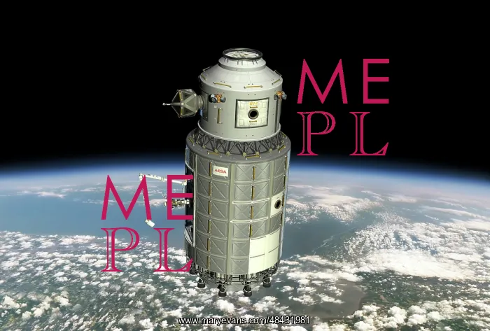 : Mobile maintenance platform in low Earth orbit : Mobile maintenance platform in low Earth orbit