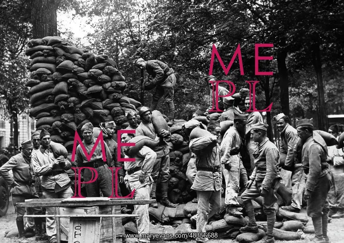 : Mobilization in France, 1939 : Mobilization in France, 1939