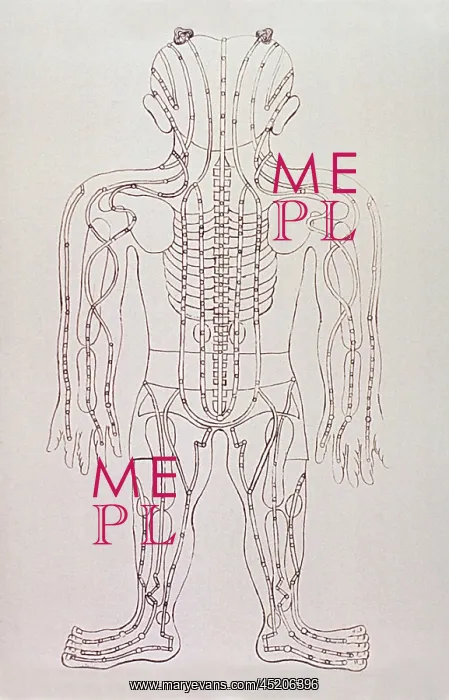 : Model for acupuncture, an engraving from ? : Model for acupuncture, an engraving from ?