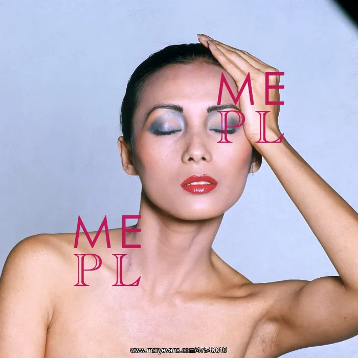 : Model - c. 1980 : Model - c. 1980