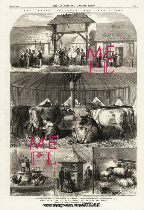 : A model farm at the Paris Exposition, 1867 : A model farm at the Paris Exposition, 1867