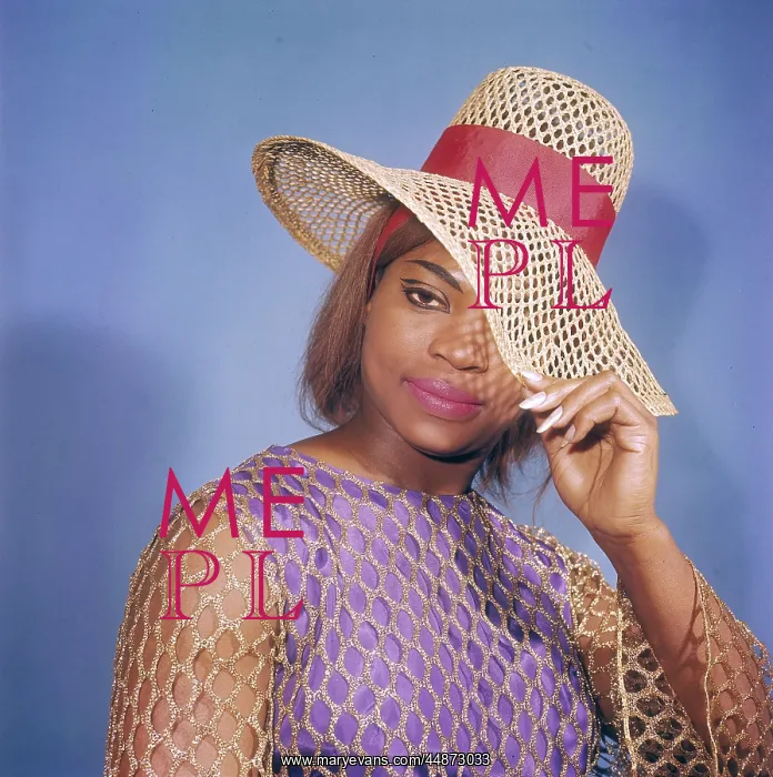 : MODEL IN FLOPPY HAT : MODEL IN FLOPPY HAT