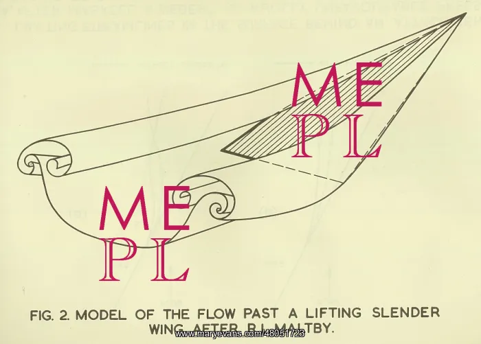 : Model of the flow past a lifting slender wing : Model of the flow past a lifting slender wing