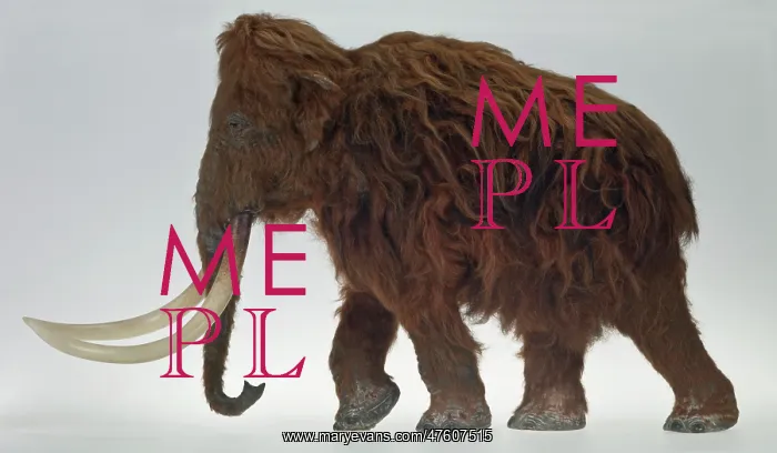 : Model of the Ilford Mammoth : Model of the Ilford Mammoth