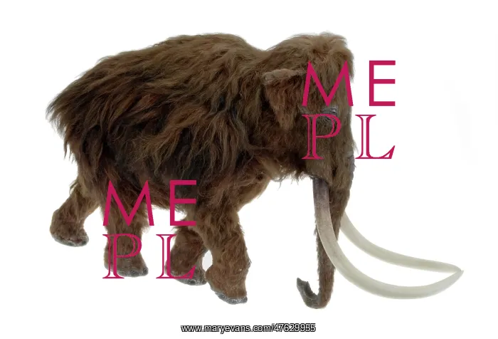 : Model of the Ilford Mammoth : Model of the Ilford Mammoth