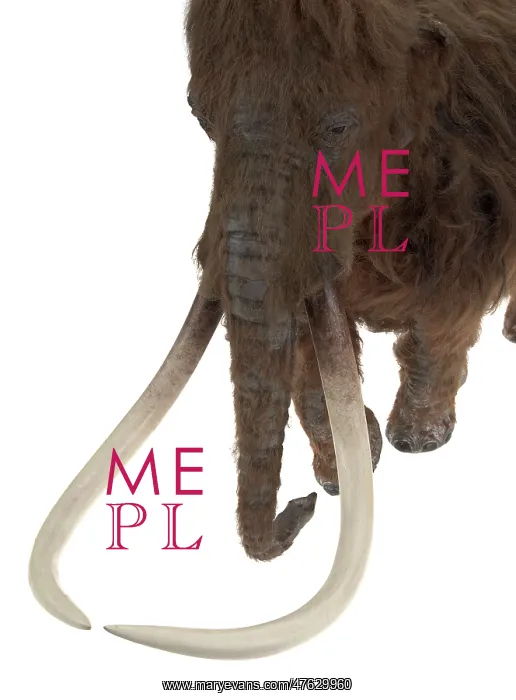 : Model of the Ilford Mammoth : Model of the Ilford Mammoth