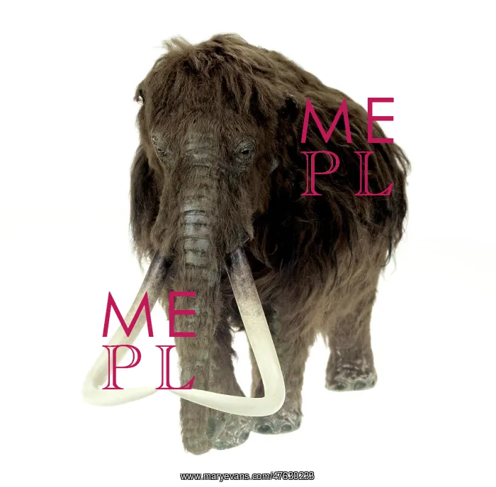 : Model of the Ilford Mammoth : Model of the Ilford Mammoth