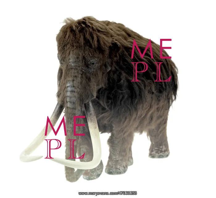 : Model of the Ilford Mammoth : Model of the Ilford Mammoth