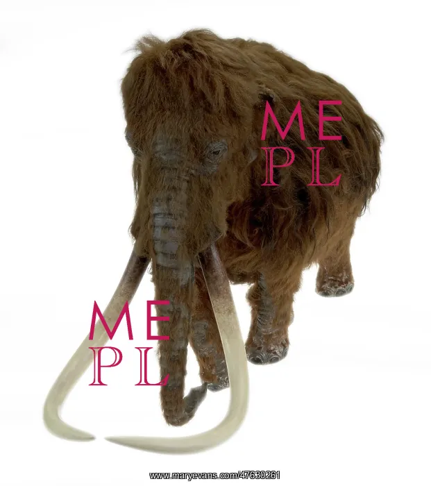 : Model of the Ilford Mammoth : Model of the Ilford Mammoth