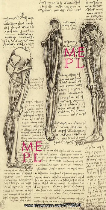 : Model for the Lower Limb, by Leonardo da Vinci : Model for the Lower Limb, by Leonardo da Vinci