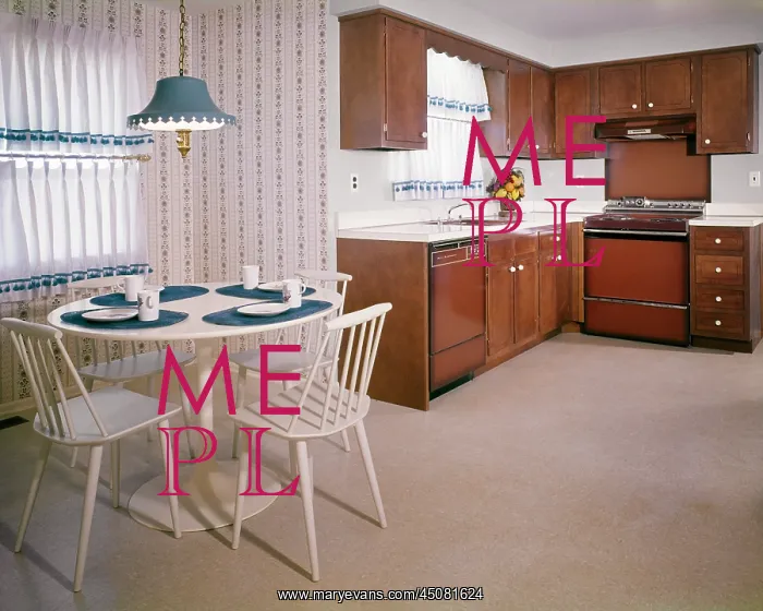 : Model Showroom Kitchen with Dated Brown Appliances : Model Showroom Kitchen with Dated Brown Appliances